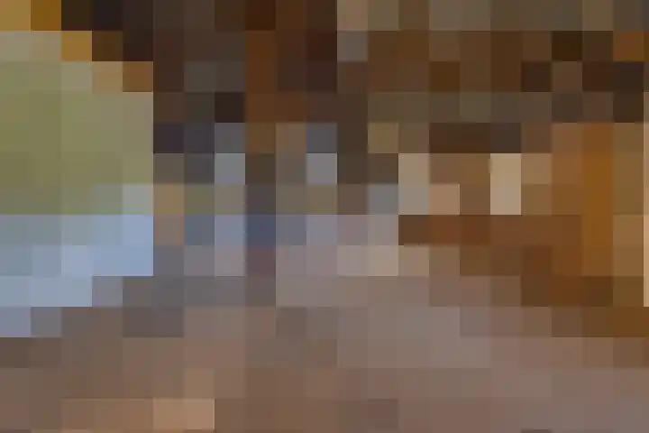Schoolstraat 8 Ees thumbnail 38