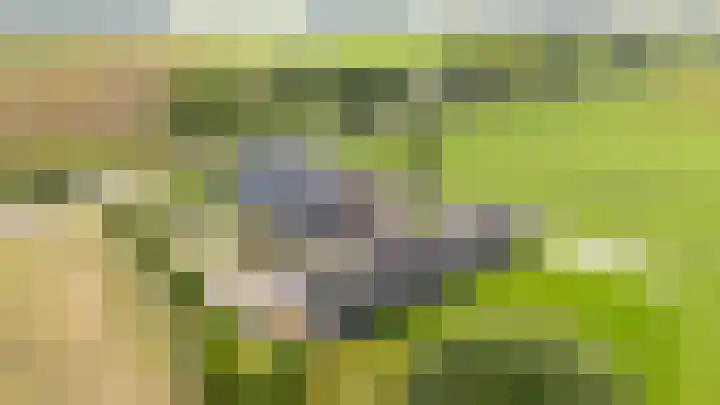 Schoolstraat 8 Ees thumbnail 43