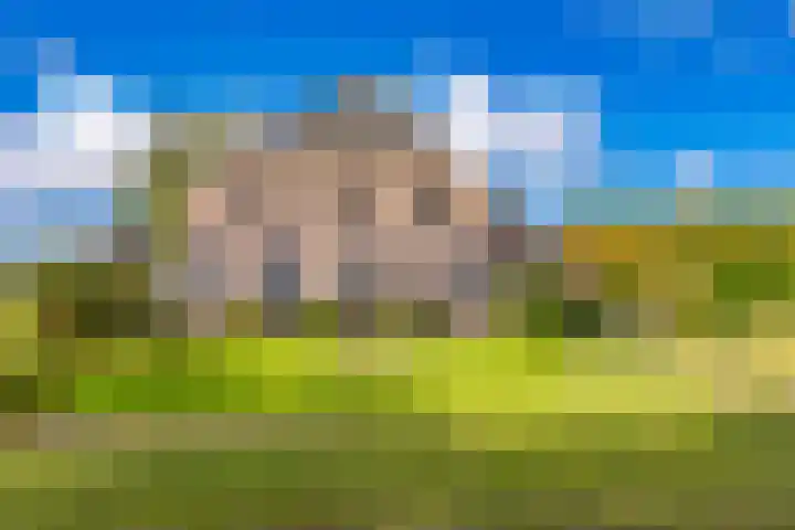 Schoolstraat 8 Ees thumbnail 5