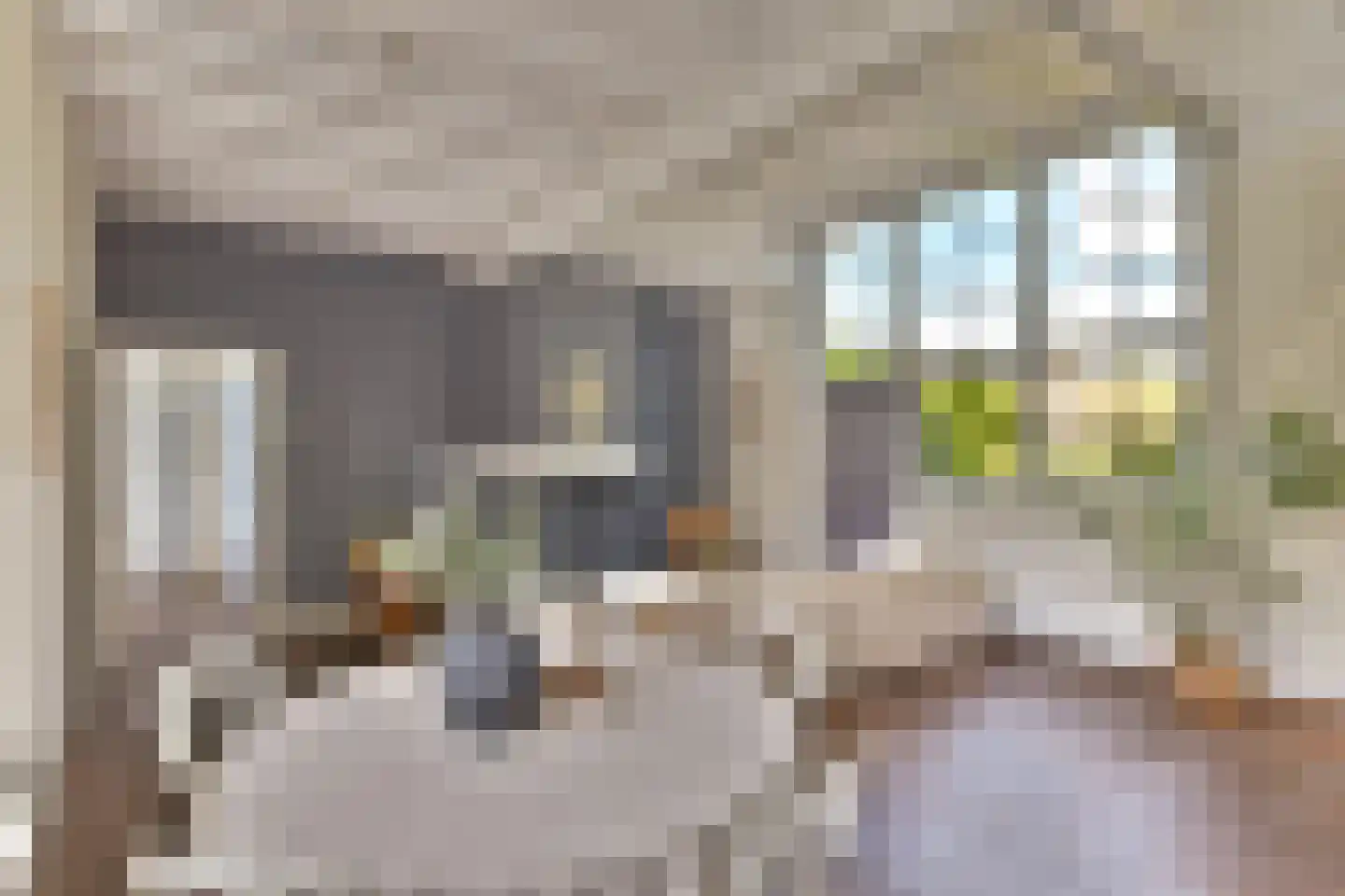 Schoolstraat 8 Egmond aan den Hoef thumbnail 20