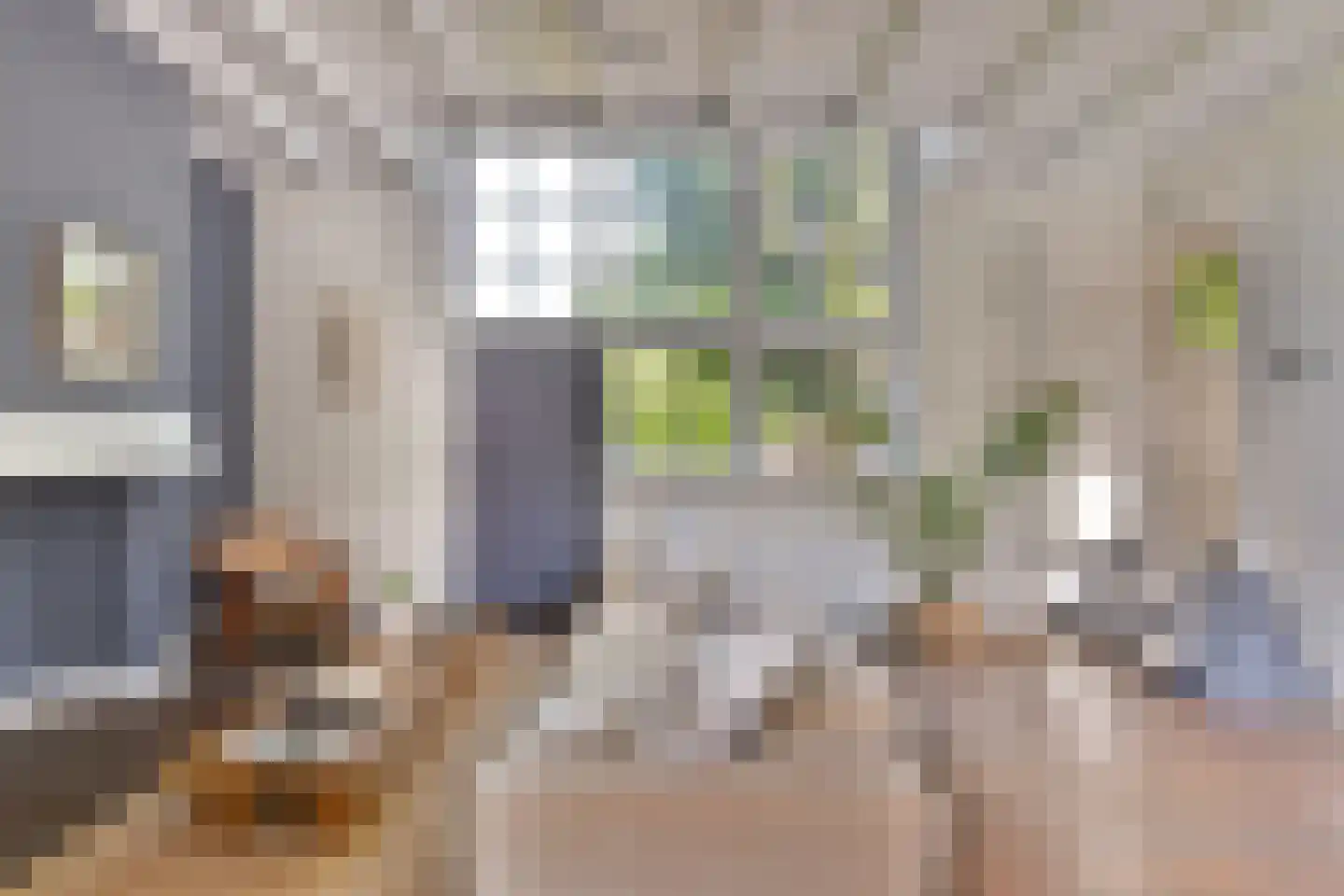 Schoolstraat 8 Egmond aan den Hoef thumbnail 21