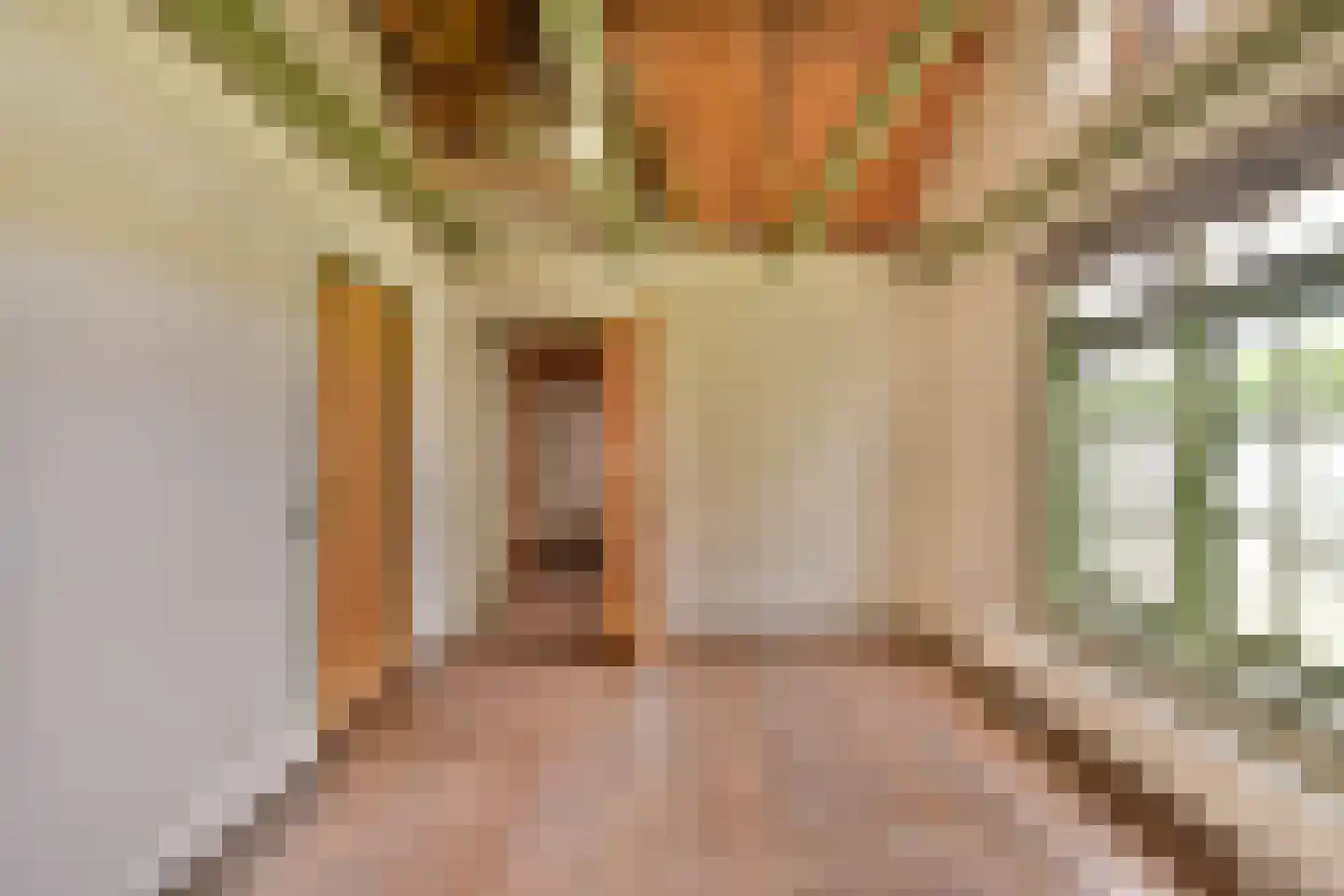 Schoolstraat 8 Egmond aan den Hoef thumbnail 29