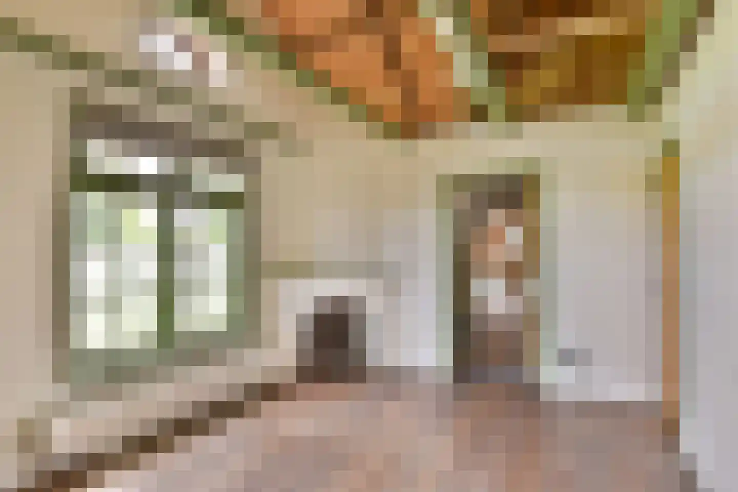 Schoolstraat 8 Egmond aan den Hoef thumbnail 30