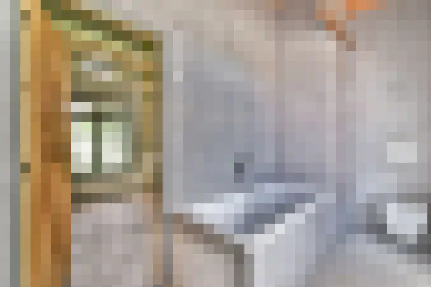 Schoolstraat 8 Egmond aan den Hoef thumbnail 31