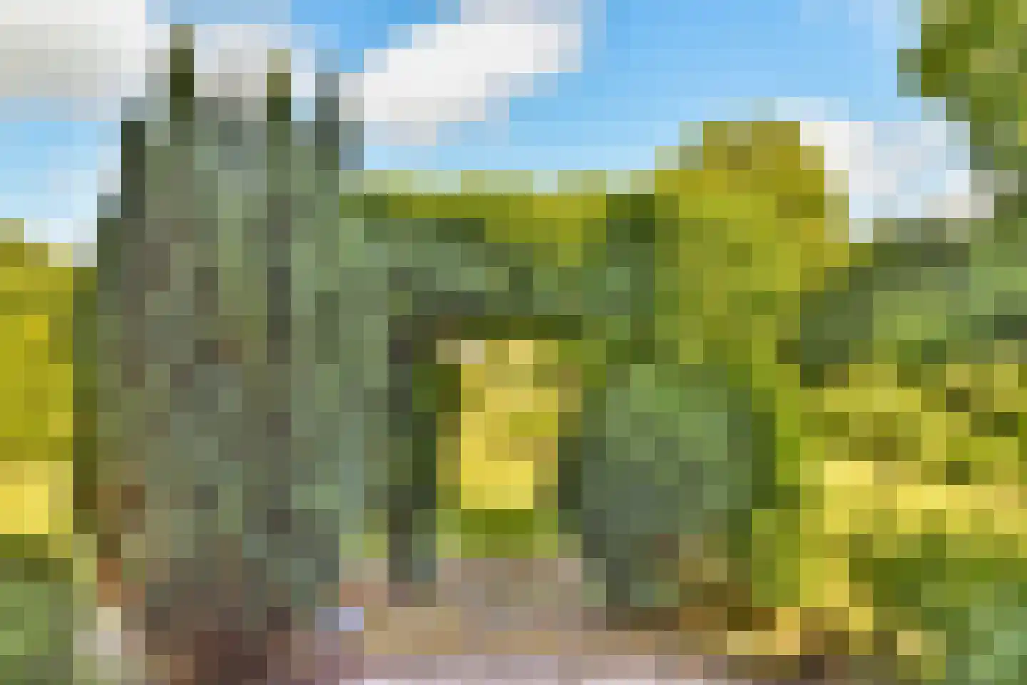 Schoolstraat 8 Egmond aan den Hoef thumbnail 34