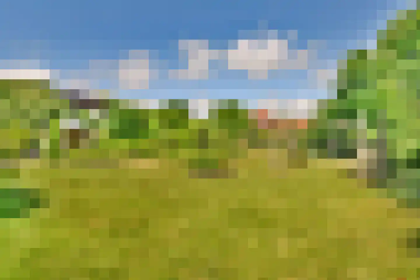 Schoolstraat 8 Egmond aan den Hoef thumbnail 35