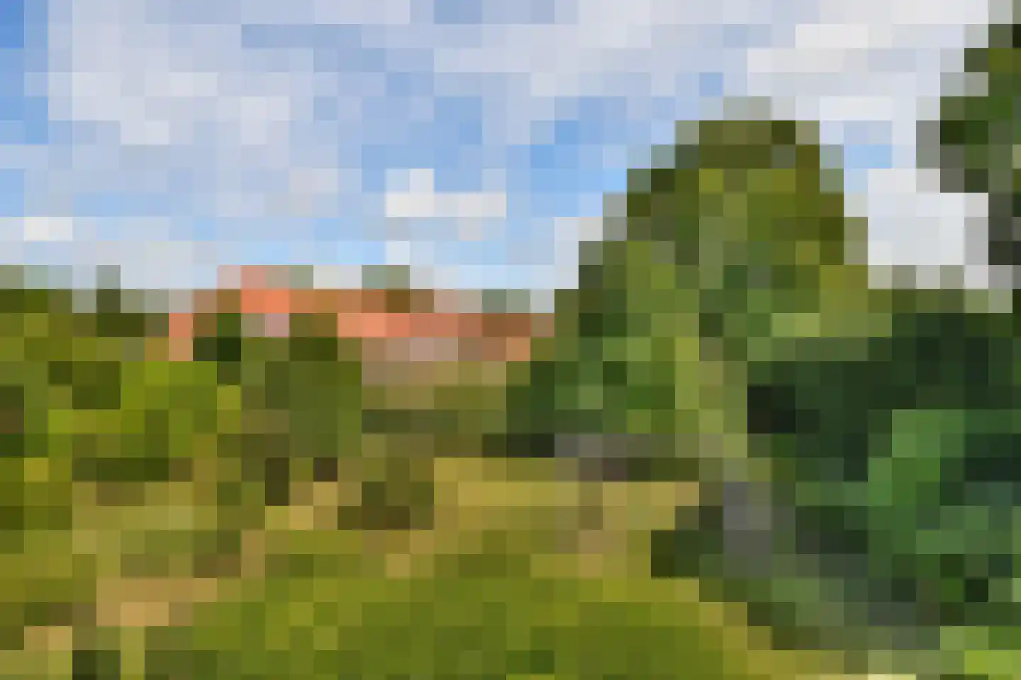 Schoolstraat 8 Egmond aan den Hoef thumbnail 36