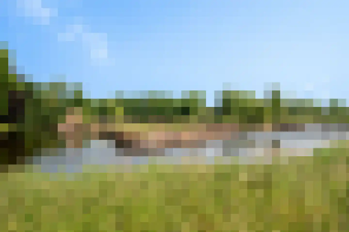 Schoolstraat 8 Egmond aan den Hoef thumbnail 38