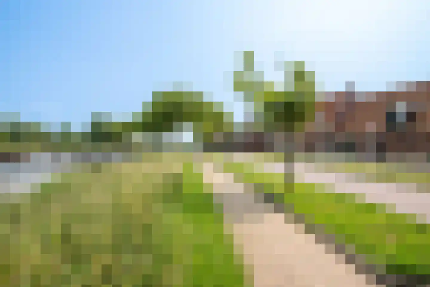 Schoolstraat 8 Egmond aan den Hoef thumbnail 39
