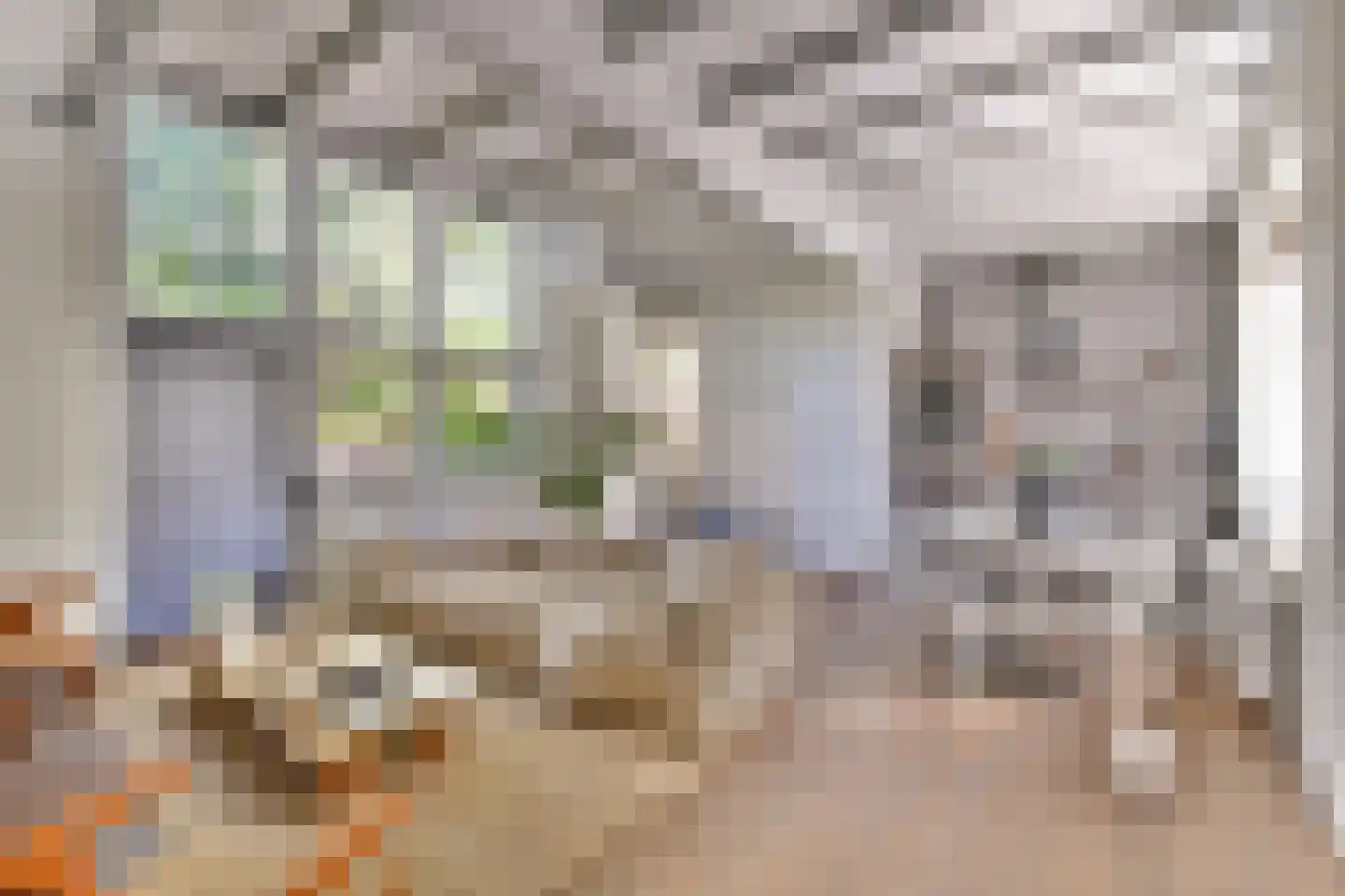 Schoolstraat 8 Egmond aan den Hoef thumbnail 4
