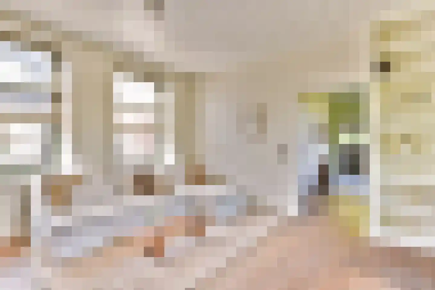 Schoolstraat 8 Egmond aan den Hoef thumbnail 5