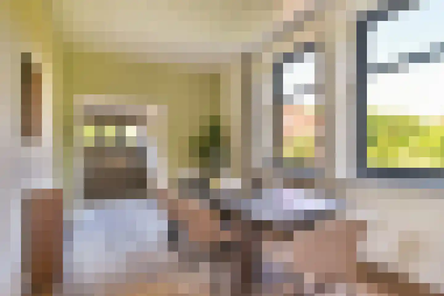 Schoolstraat 8 Egmond aan den Hoef thumbnail 6