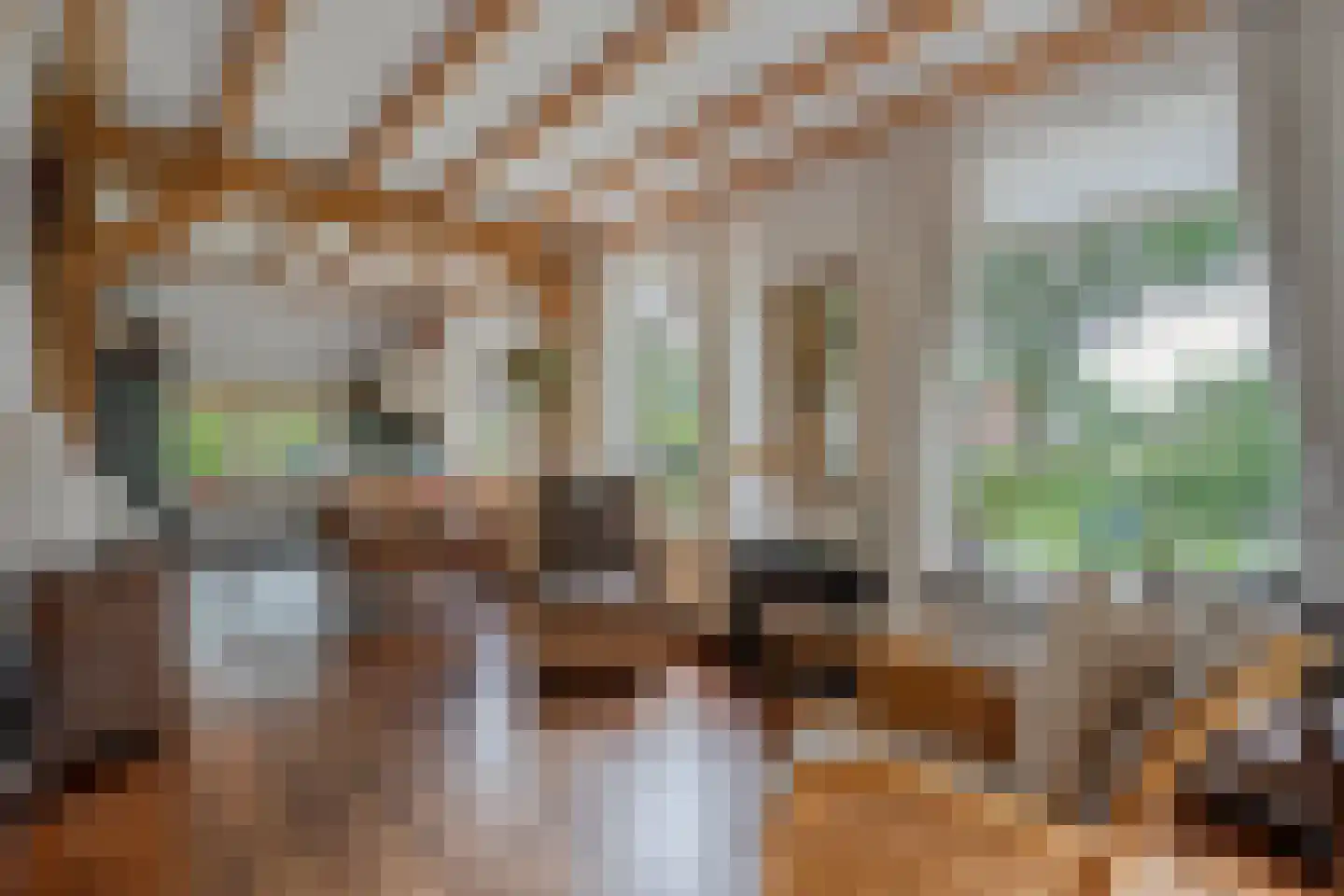 Schoolstraat 8 Grolloo thumbnail 10
