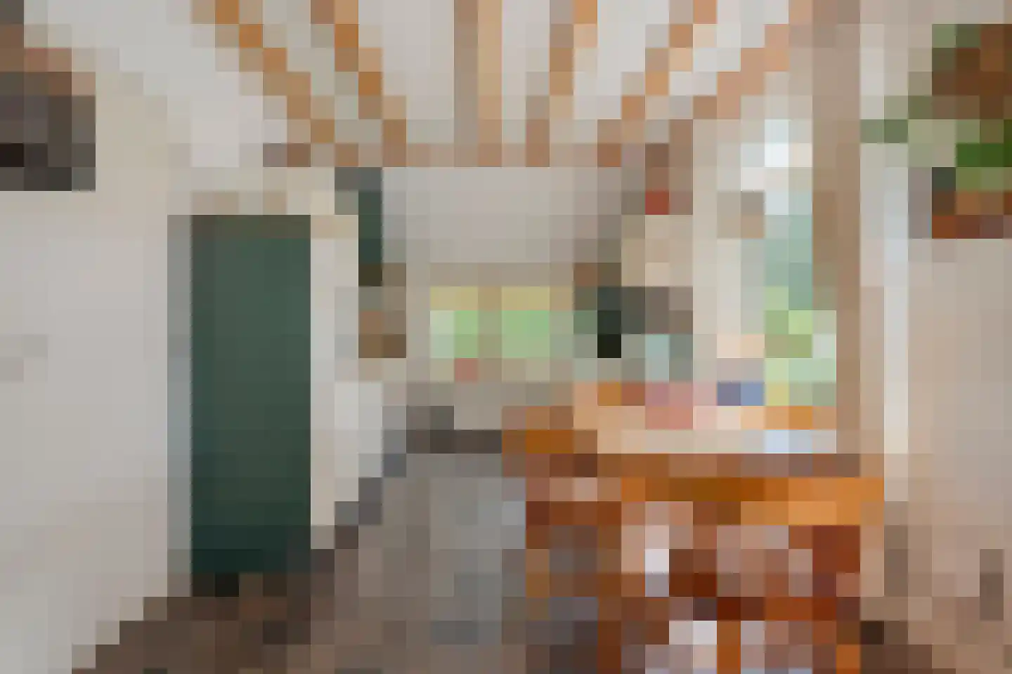 Schoolstraat 8 Grolloo thumbnail 11