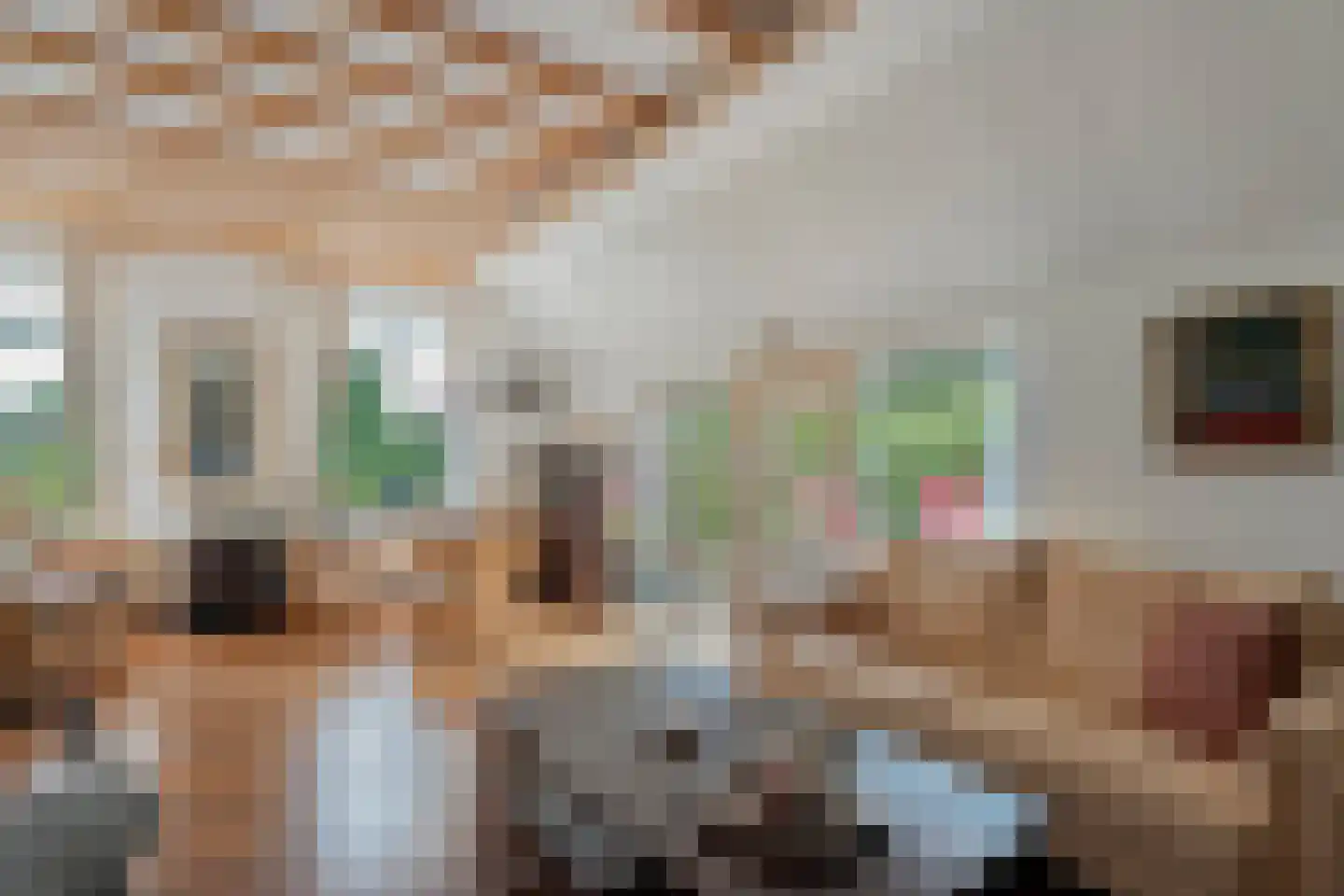 Schoolstraat 8 Grolloo thumbnail 12