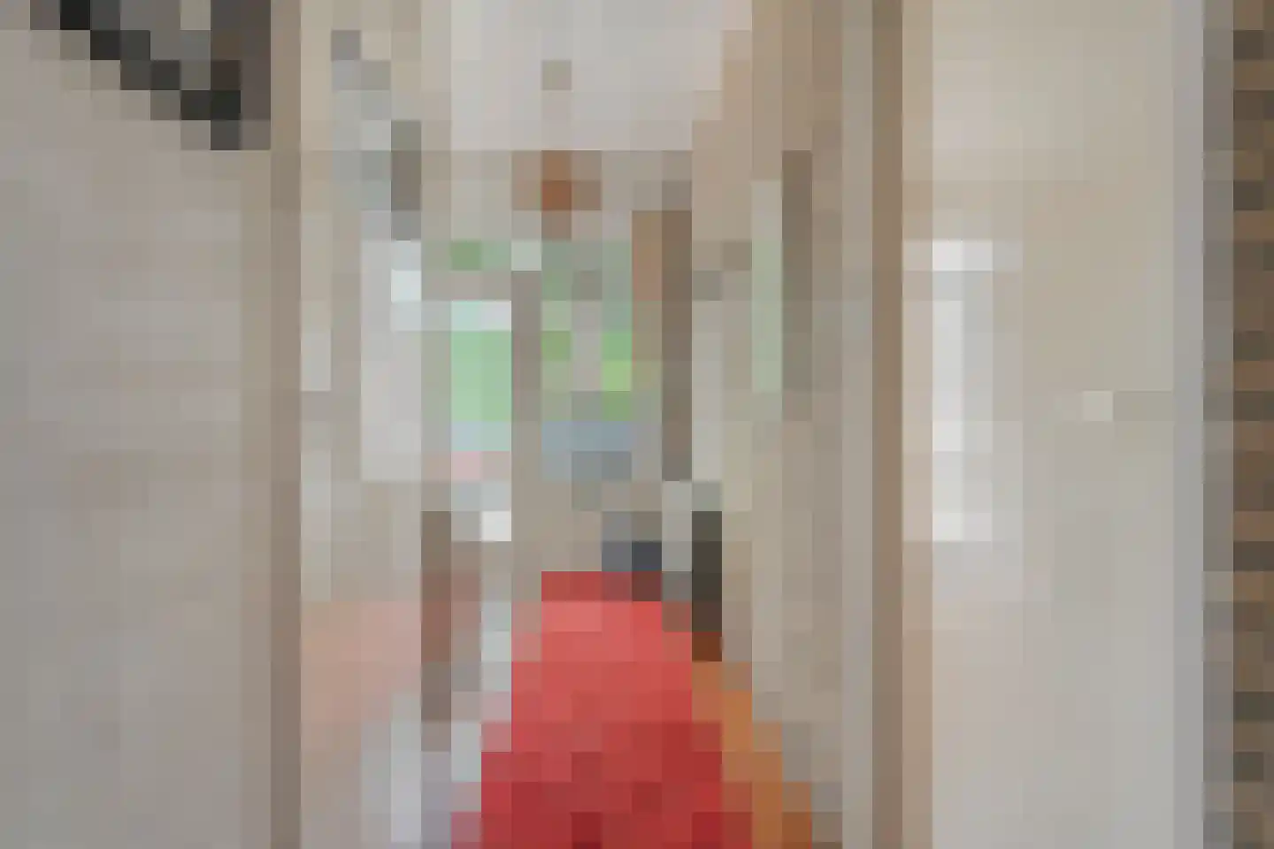 Schoolstraat 8 Grolloo thumbnail 13