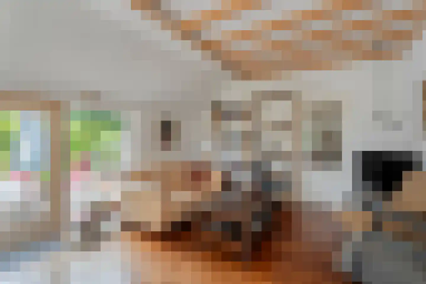 Schoolstraat 8 Grolloo thumbnail 14