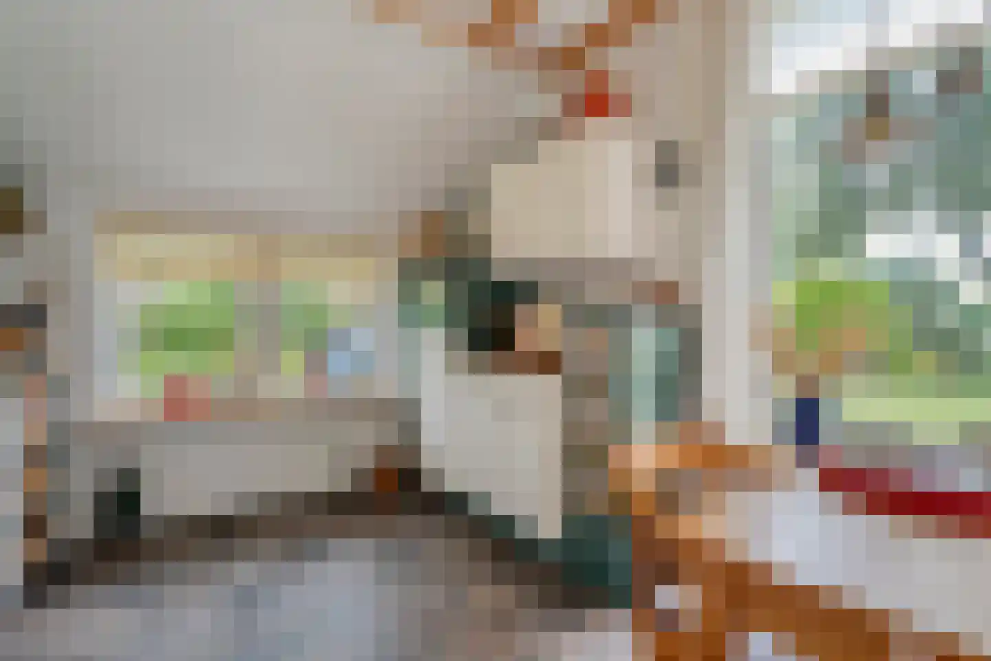 Schoolstraat 8 Grolloo thumbnail 15