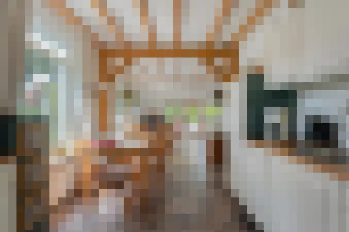 Schoolstraat 8 Grolloo thumbnail 16