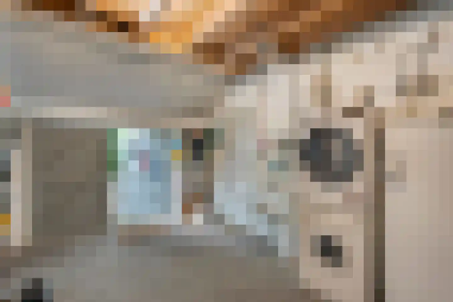 Schoolstraat 8 Grolloo thumbnail 20