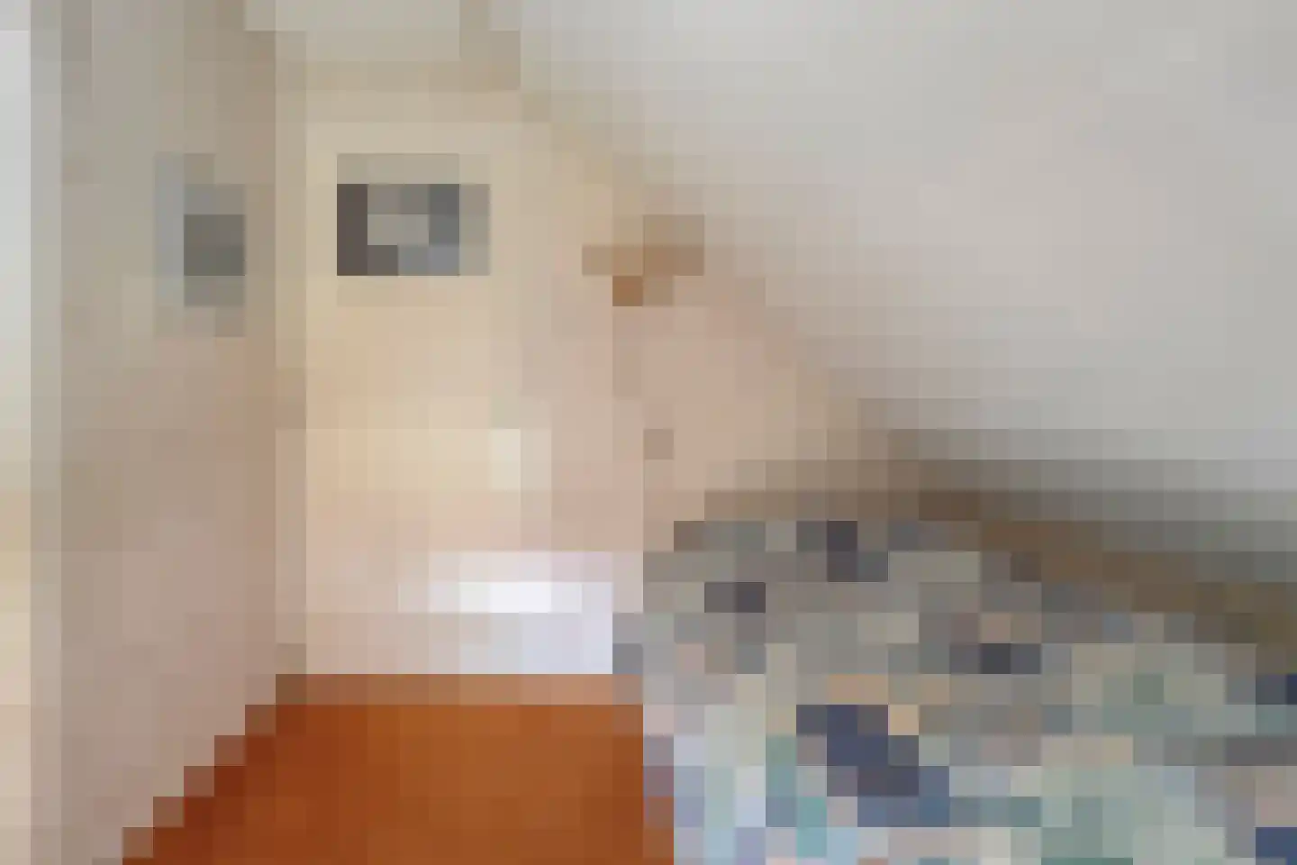 Schoolstraat 8 Grolloo thumbnail 28