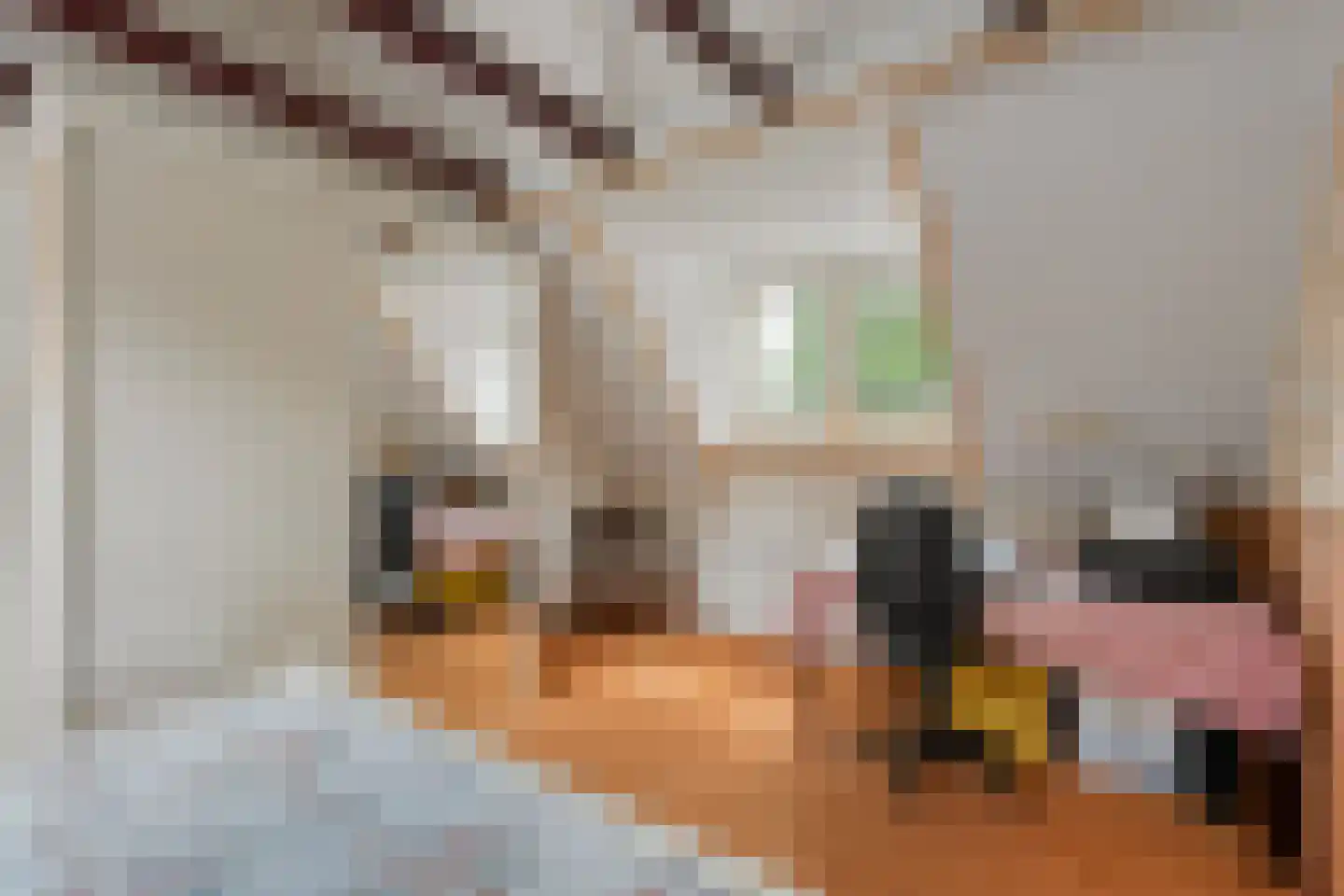 Schoolstraat 8 Grolloo thumbnail 31
