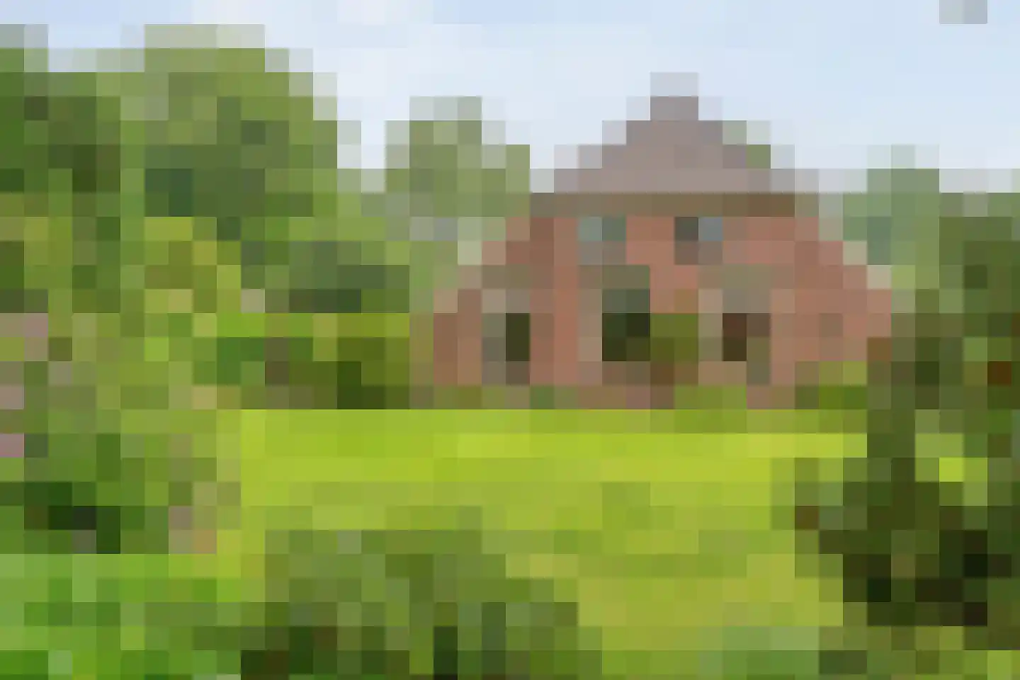 Schoolstraat 8 Grolloo thumbnail 35