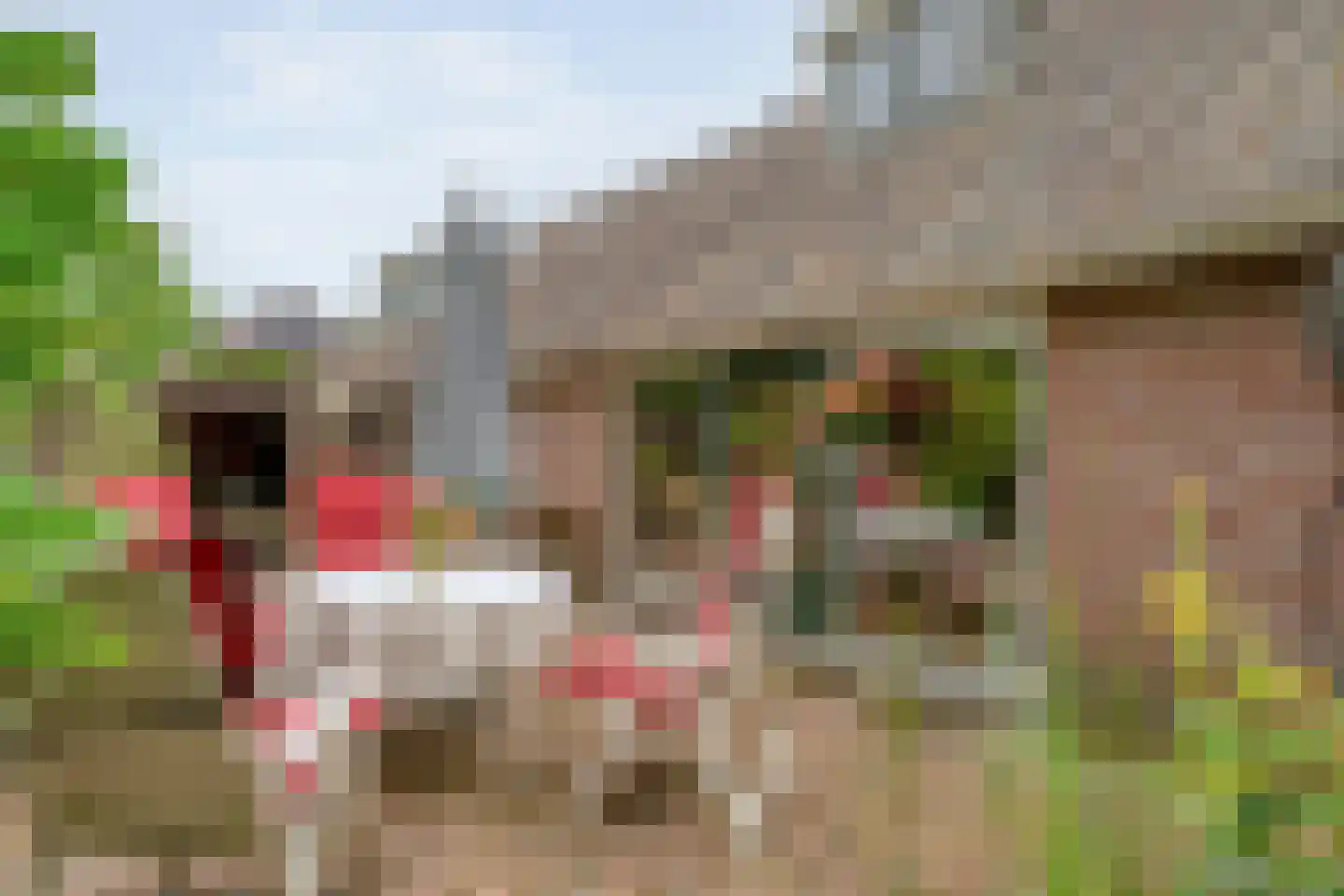 Schoolstraat 8 Grolloo thumbnail 36