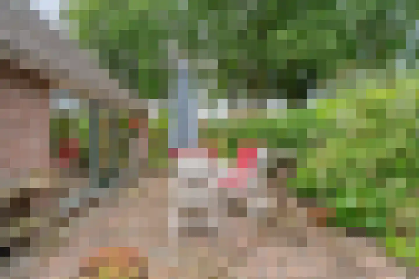 Schoolstraat 8 Grolloo thumbnail 37