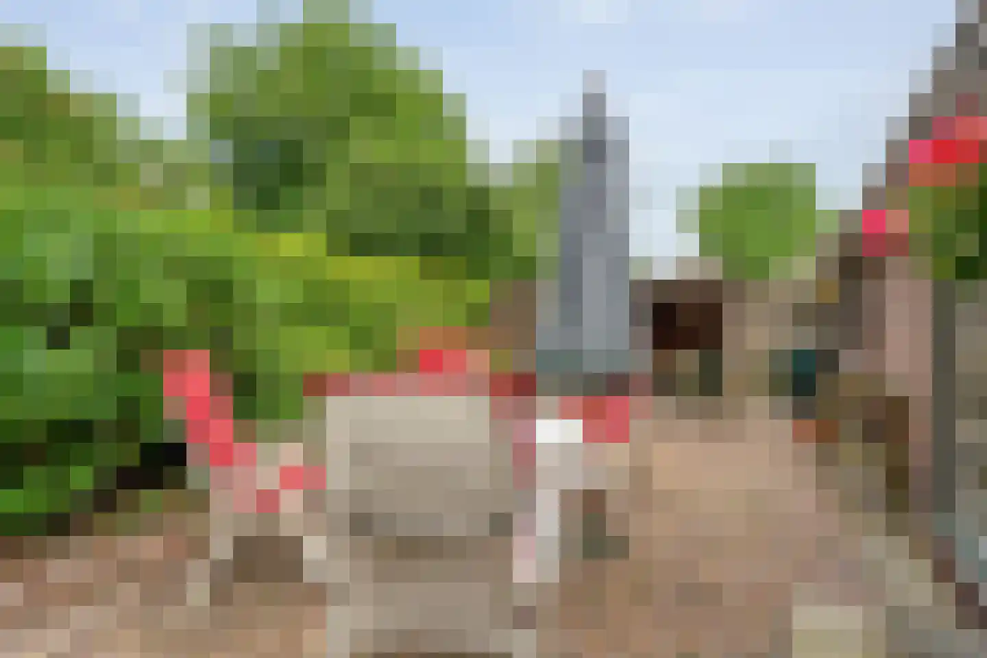 Schoolstraat 8 Grolloo thumbnail 38