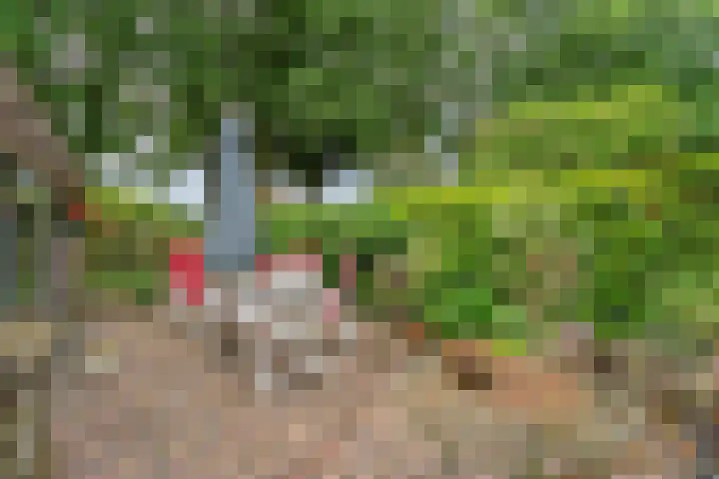 Schoolstraat 8 Grolloo thumbnail 39