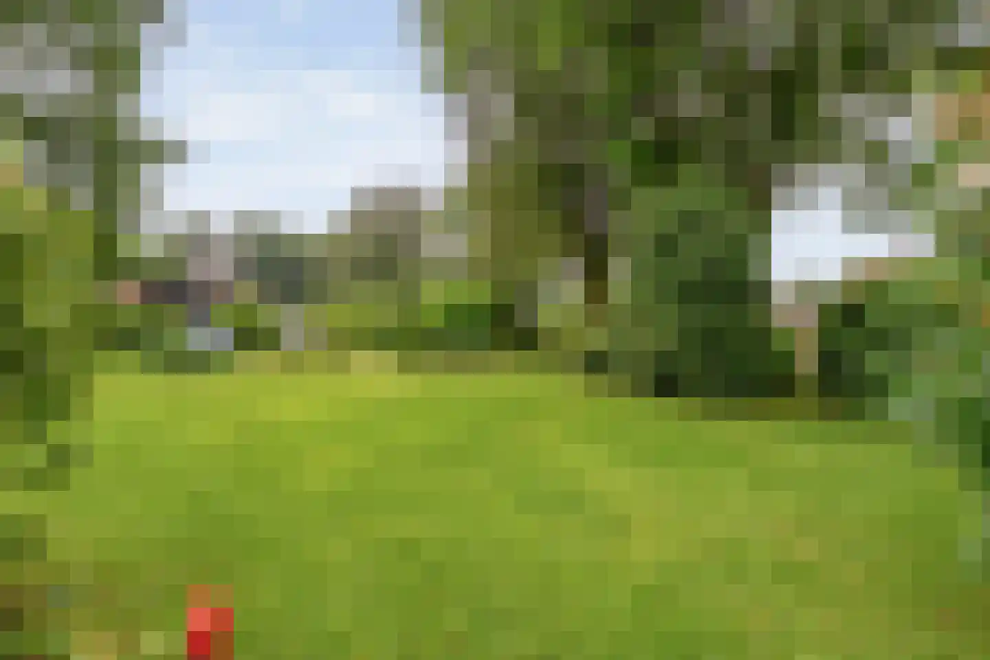 Schoolstraat 8 Grolloo thumbnail 41