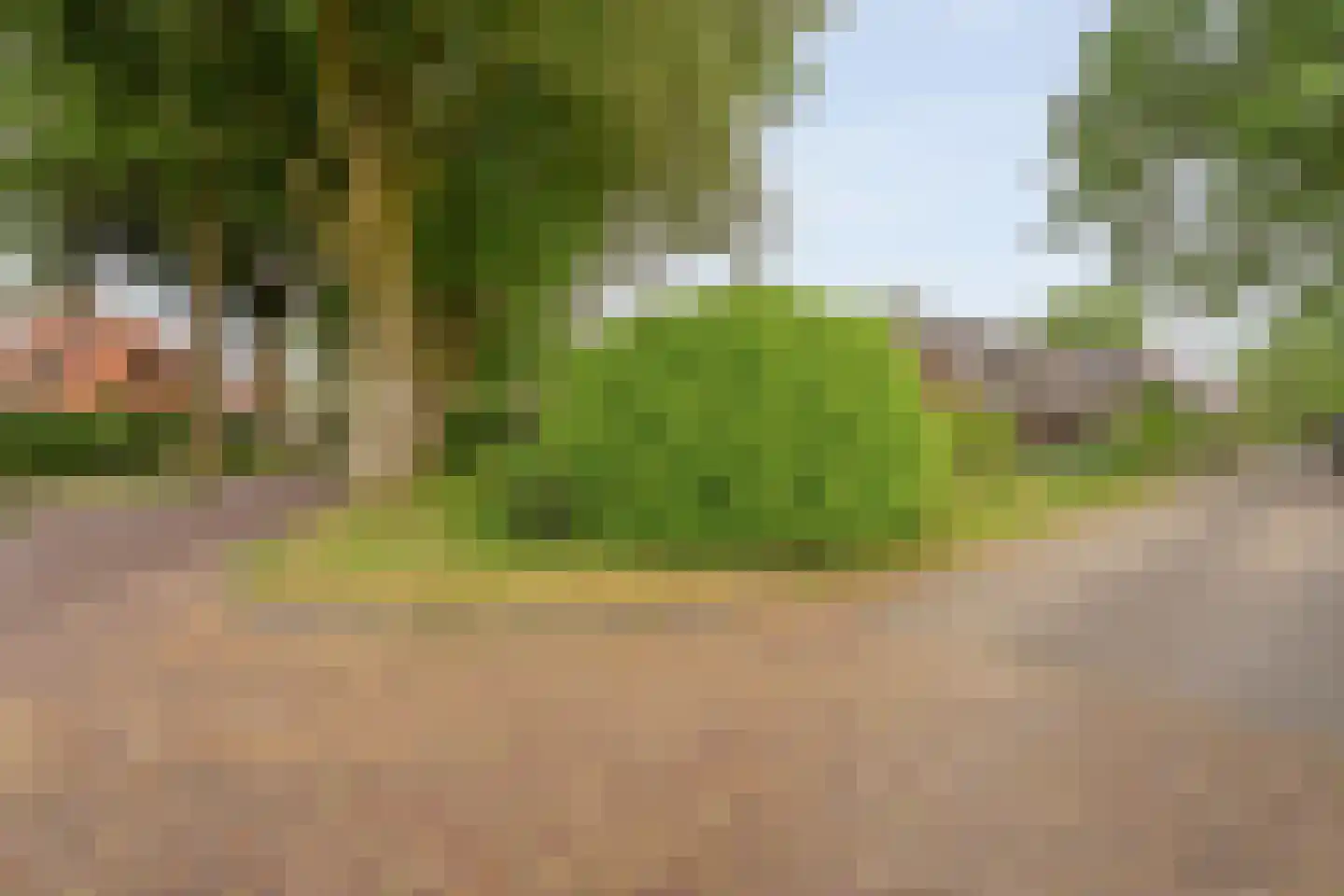 Schoolstraat 8 Grolloo thumbnail 43