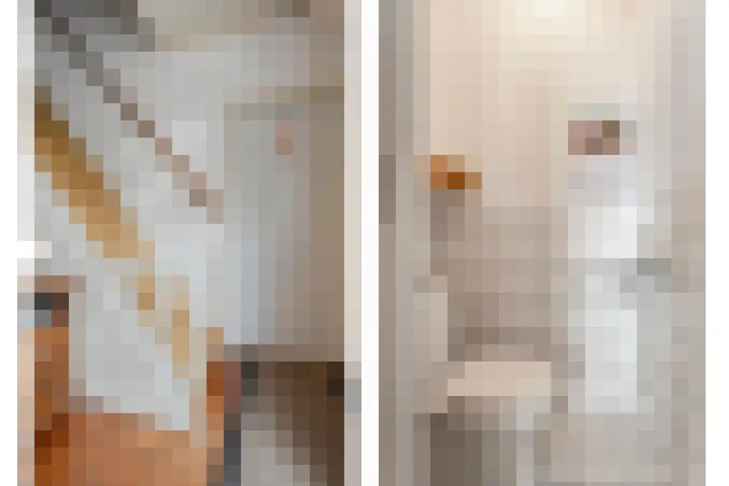 Schoolstraat 8 Grolloo thumbnail 6