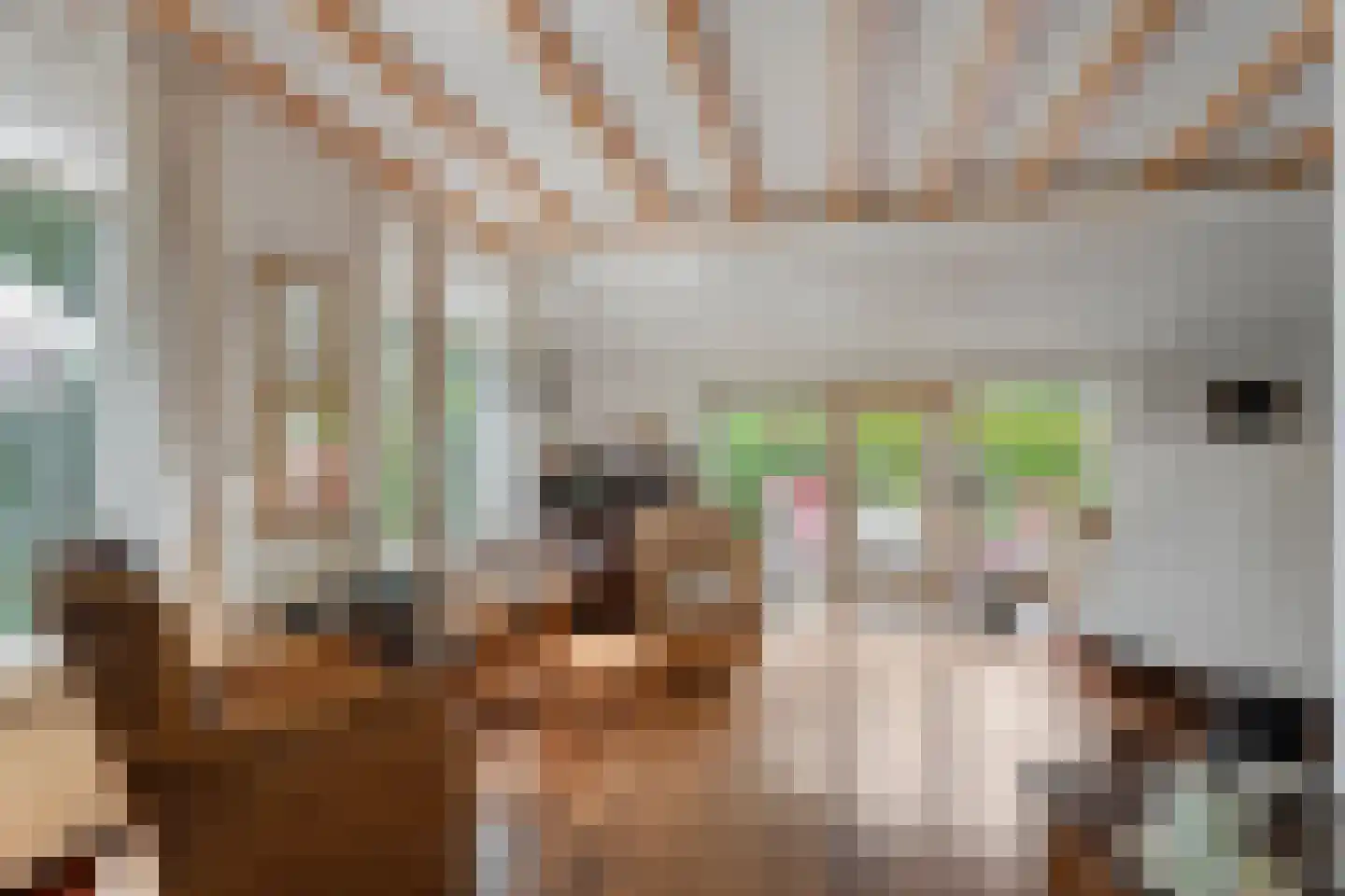 Schoolstraat 8 Grolloo thumbnail 7