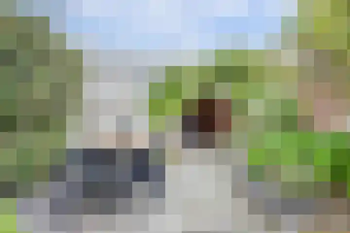 Schoolstraat 8 Katwijk thumbnail 32