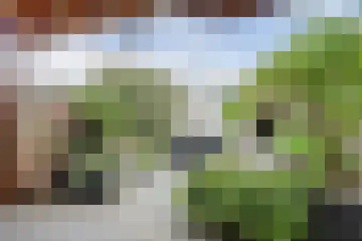 Schoolstraat 8 Katwijk thumbnail 6