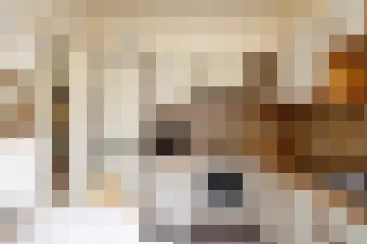 Schoolstraat 8 Mierlo thumbnail 21