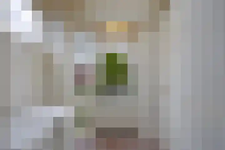 Schoolstraat 8 Mierlo thumbnail 23