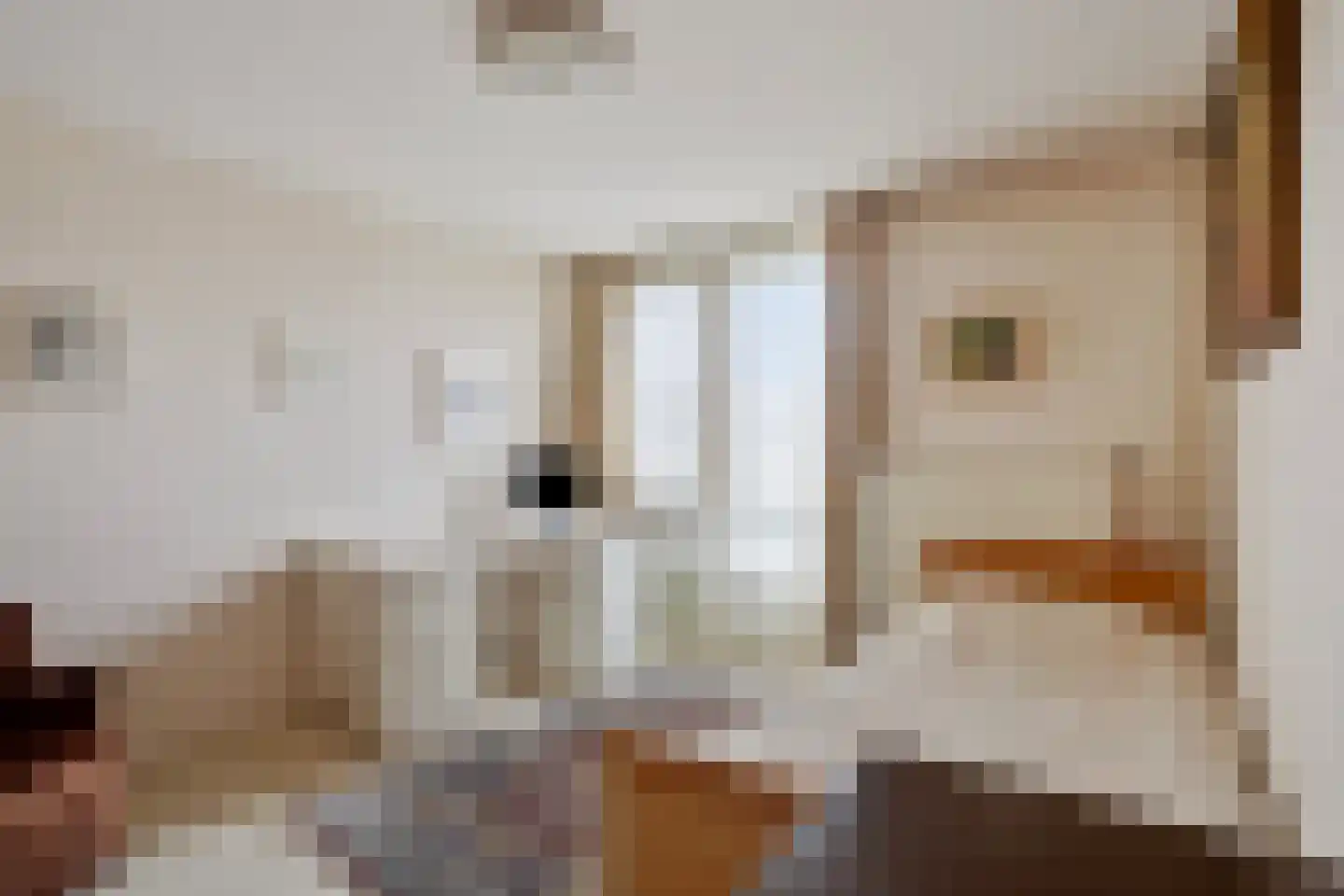 Schoolstraat 8 Mierlo thumbnail 27
