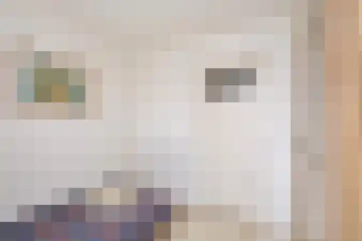 Schoolstraat 8 Mierlo thumbnail 30