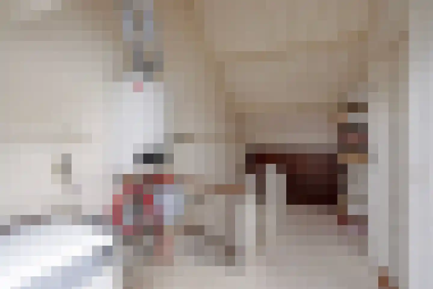 Schoolstraat 8 Mierlo thumbnail 34