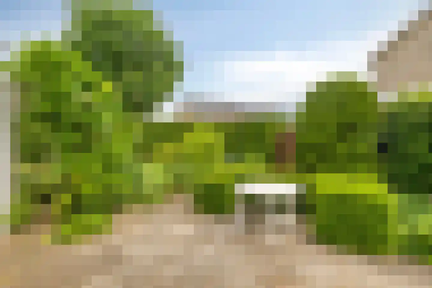 Schoolstraat 8 Mierlo thumbnail 41