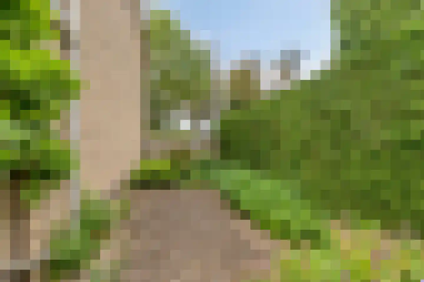 Schoolstraat 8 Mierlo thumbnail 43