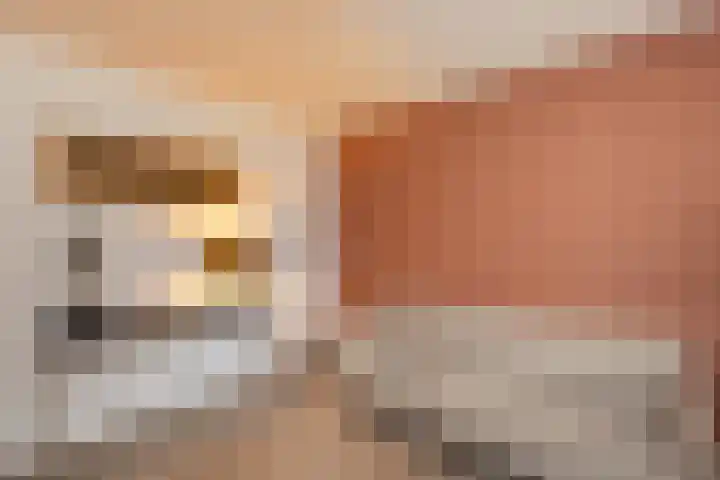 Schoolstraat 8 Neede thumbnail 18