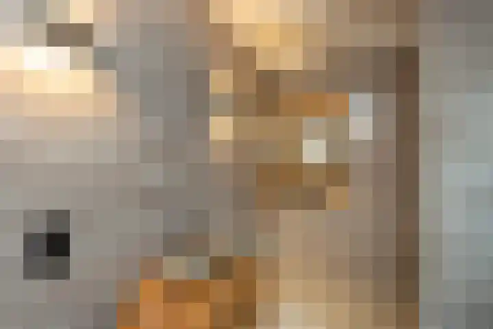 Schoolstraat 8 Neede thumbnail 22