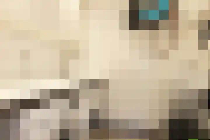 Schoolstraat 8 Neede thumbnail 25