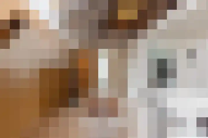 Schoolstraat 8 Neede thumbnail 27