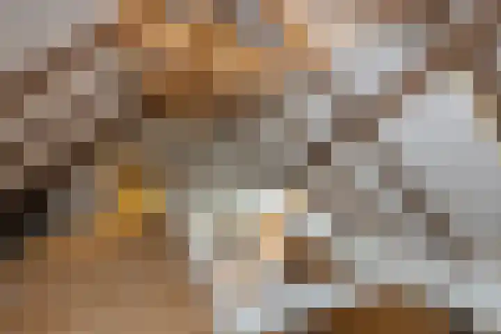 Schoolstraat 8 Neede thumbnail 35