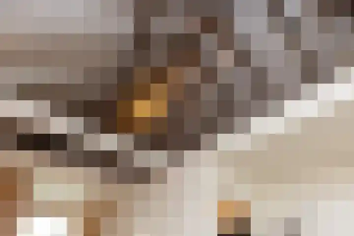 Schoolstraat 8 Neede thumbnail 36